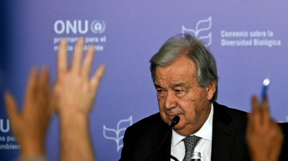 COP16: Chefe da ONU pede que mundo 'fa&ccedil;a as pazes' para salvar a natureza