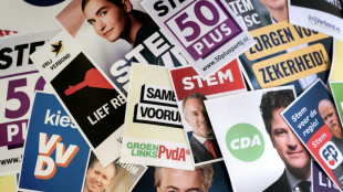 Les Néerlandais aux urnes, test pour l'extrême droite en Europe