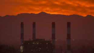 CO2 in the atmosphere up by record amount in 2024: UN