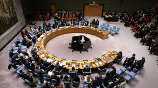 UN-Sicherheitsrat stimmt Trumps Gaza-Friedensplan zu