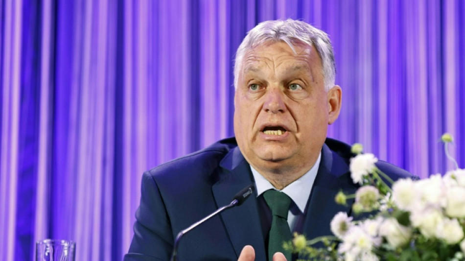 Primeiro-ministro h&uacute;ngaro anuncia que pretende formar novo grupo parlamentar europeu