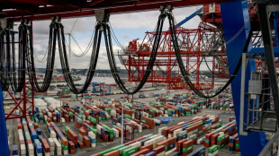 Gut 1000 Hafen-Besch&auml;ftigte streiken in Hamburg - Tarifpartner verhandeln