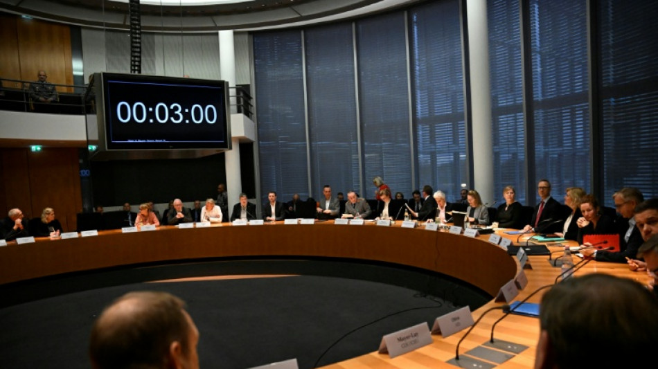 Bundestag setzt 24 ständige Ausschüsse ein - einen weniger als bisher