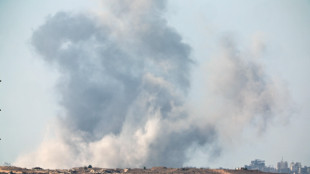 Wafa, 'quattro palestinesi, tra cui due bambini, uccisi a Gaza'