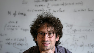Quatre math&eacute;maticiens remportent la m&eacute;daille Fields, dont le Fran&ccedil;ais Hugo Duminil-Copin