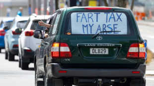 Nouvelle-Z&eacute;lande: des fermiers manifestent contre un projet de taxation des pets de vache