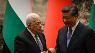 El presidente chino promete al l&iacute;der palestino la creaci&oacute;n de lazos "estrat&eacute;gicos"