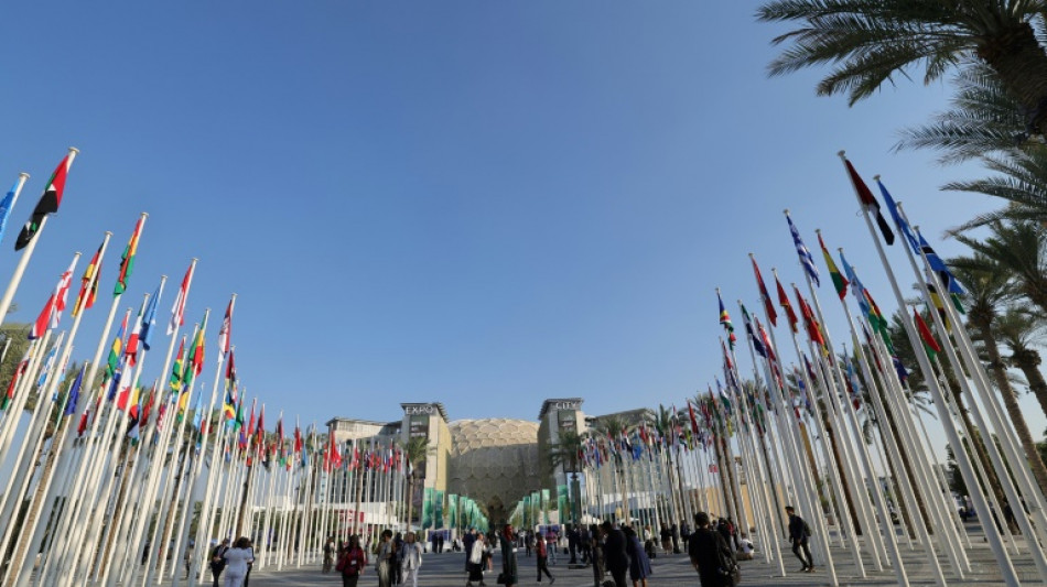 COP28 deve aprovar elimina&ccedil;&atilde;o progressiva dos combust&iacute;veis f&oacute;sseis, afirma chefe da ONU