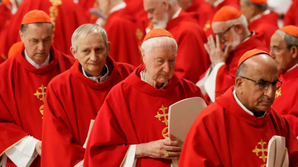 Cardenal espa&ntilde;ol Fern&aacute;ndez Artime, una opci&oacute;n de continuismo de Francisco