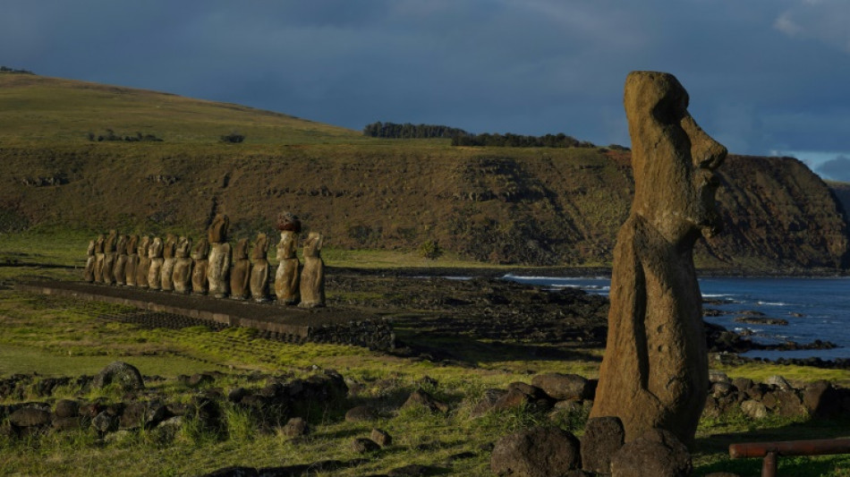Un estudio descarta que la sobrepoblaci&oacute;n haya causado un "ecocidio" en la Isla de Pascua