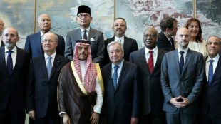 ONU registra forte apoio &agrave; solu&ccedil;&atilde;o de 2 Estados no Oriente M&eacute;dio em confer&ecirc;ncia boicotada por EUA e Israel