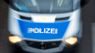 Polizist schie&szlig;t bewaffnetem Betrunkenen in Baden-W&uuml;rttemberg ins Bein