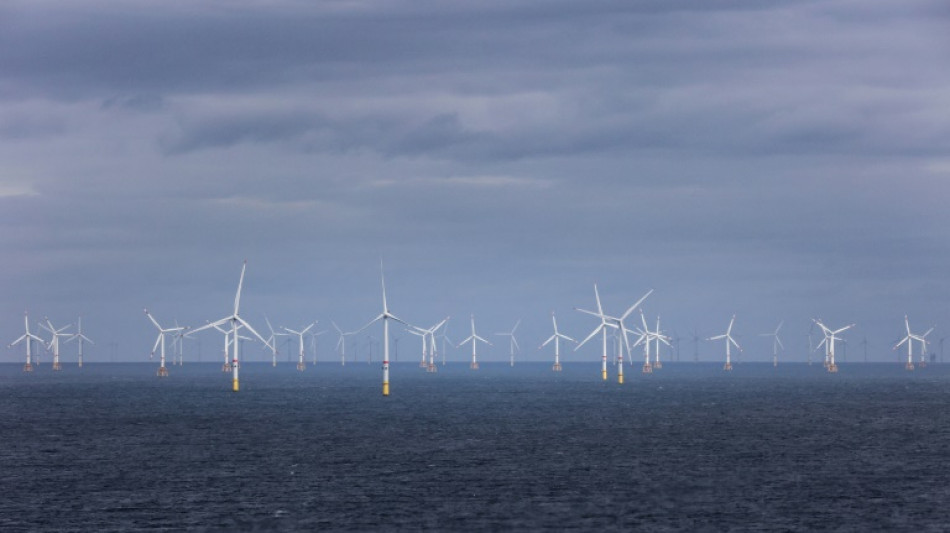 Wissenschaftler drängen auf Fortschritte bei Schlüsseltechnologien für Klimaschutz