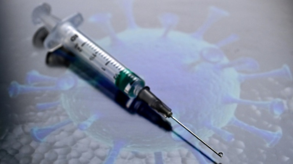 Coronavirus: la qu&ecirc;te d'un vaccin universel