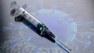 Coronavirus: la qu&ecirc;te d'un vaccin universel