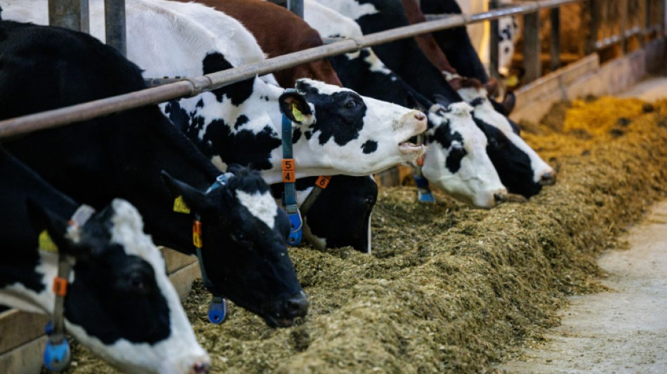 Landwirtschaft: Zahl der Arbeitskr&auml;fte seit 2020 um sieben Prozent gesunken