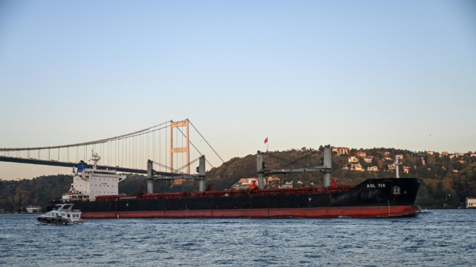 Getreideabkommen zwischen Russland und der Ukraine um 120 Tage verl&auml;ngert