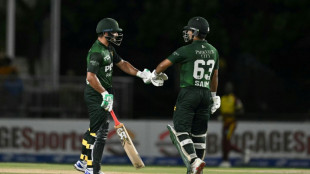 Pakistan beat West Indies by 13 runs to capture T20 series
