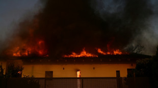 Three die in Greece as gales stoke fires, disrupt ferries