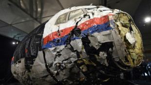 Cadena perpetua para tres hombres acusados por derribo de un avi&oacute;n en Ucrania en 2014