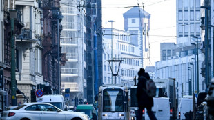 Klimaklagen scheitern: BGH verpflichtet Autobauer nicht zu fr&uuml;herem Verbrenner-Aus