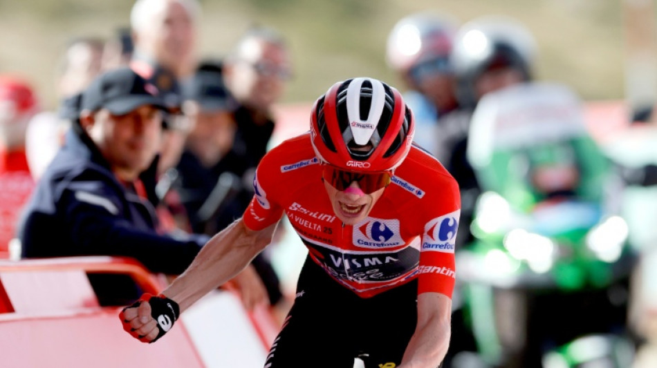 Vingegaard touching Vuelta glory with stage 20 triumph as protests continue