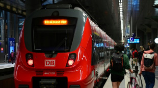 "Zug explodiert" statt "Zug wird geteilt": &Uuml;bersetzungsfehler f&uuml;hrt zu Gro&szlig;einsatz
