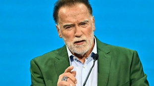 A l'heure de pointe, Schwarzenegger au micro dans le m&eacute;tro de Vienne