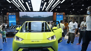 E-Autobauer BYD aus China unterzeichnet Abkommen f&uuml;r Werk in der T&uuml;rkei