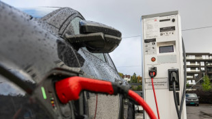 Neuzulassungen in der EU im Januar: Deutlich mehr E-Autos - R&uuml;ckgang bei Verbrennern