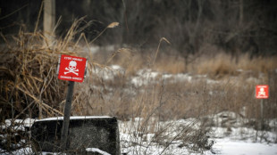 Cerca del frente de Donetsk, el resentimiento contra Kiev y el sue&ntilde;o de la "casa" Rusia