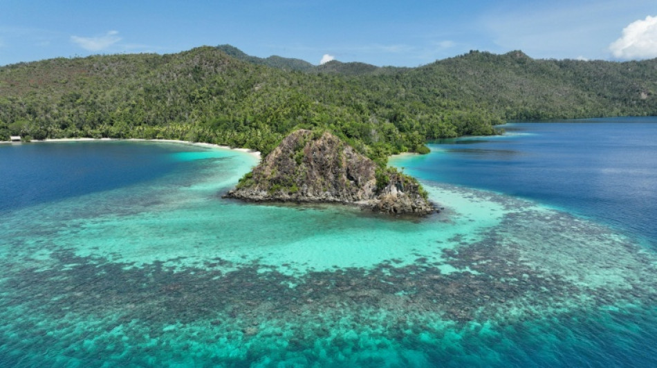 Umweltschützer: Nickel-Abbau bedroht einzigartige Korallenriffe in Indonesien