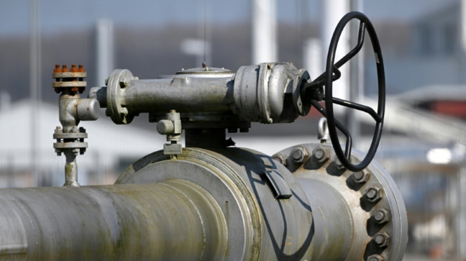 Studie: Sofortiges Gas-Embargo gegen Russland w&auml;re "hoch riskant"
