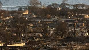 Incendies &agrave; Hawa&iuml;: le bilan humain d&eacute;passe les 100 morts