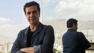 Cannes recibe al iran&iacute; Jafar Panahi tras 15 a&ntilde;os de espera y Scarlett Johansson se estrena como directora