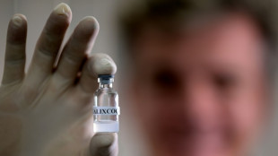 Brasil, en busca de la primera vacuna "anticoca&iacute;na"