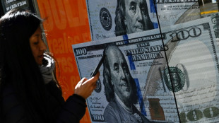 Dolarizar, o controverso rem&eacute;dio milagroso do candidato Milei para Argentina