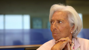 BCE est&aacute; consciente do 'sofrimento' das fam&iacute;lias, diz sua presidente