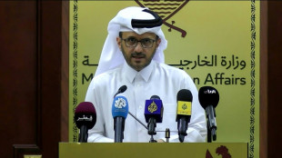 Catar insta a Israel y a Ham&aacute;s a aprovechar la "oportunidad" para la tregua en Gaza