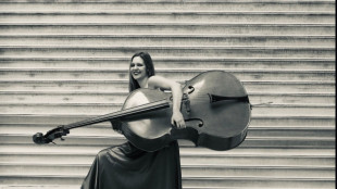 Viaggiare con un contrabbasso, petizione per regole chiare