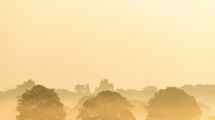 More climate records under threat as spring heatwave bakes western Europe