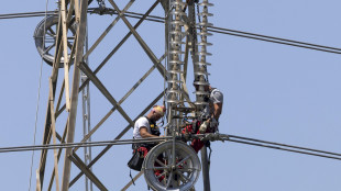 Gme, prezzo medio elettricit&agrave; a 107,94 euro al MWh