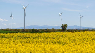 Renewable energy in the dock in Spain after blackout