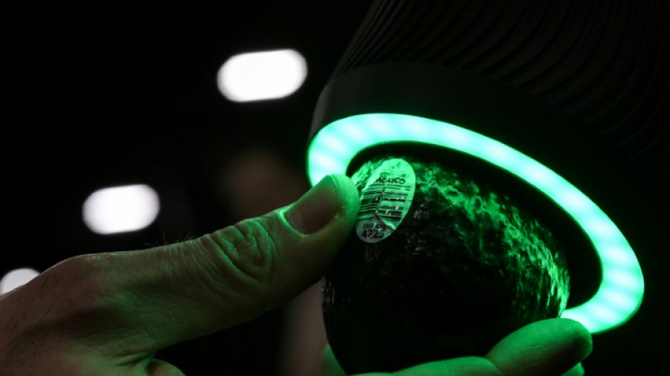 Scanner les avocats ou le cerveau, les derni&egrave;res innovations au salon de la tech