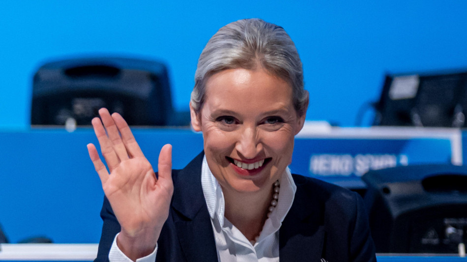 Weidel eletta all'unanimit&agrave; candidata cancelliera Afd