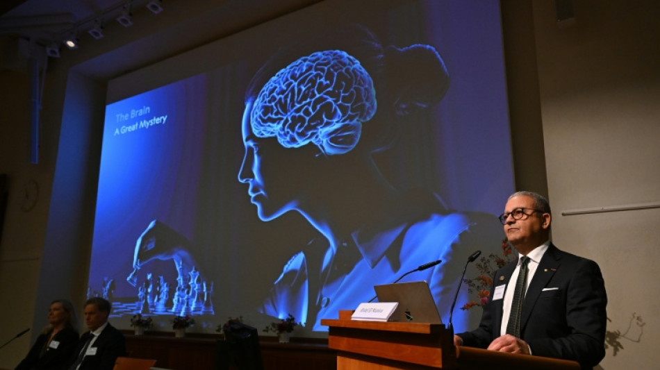 US-German trio wins medicine Nobel for illuminating the brain
