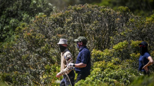 New search in Madeleine McCann case finished: Portuguese police