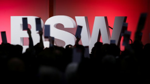 Staatsrechtler: BSW betritt mit Klage in Karlsruhe "Neuland"