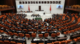Medien: T&uuml;rkisches Parlament stimmt diese Woche &uuml;ber Schwedens Nato-Beitritt ab