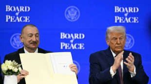 With 'Board of Peace,' Trump tries hand at institution-making, to wide doubt